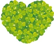 Naturkomsetik & Bio Lebensmittel g&uuml;nstig bestellen