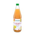 Apfel-Ingwer-Mix Bio-Saft