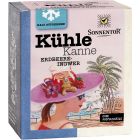 Kühle Kanne Erdbeer-Ingwer Tee, Pyramidenbeutel bio