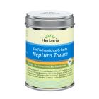 Neptuns Traum Fischgewürz bio