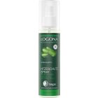 Hitzeschutzspray Bio-Aloe