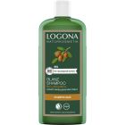 Glanz Shampoo Bio-Arganöl