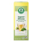 Grüntee Ingwer Zitrone bio
