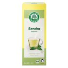 Sencha Grüntee bio