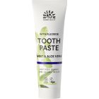 Mint Toothpaste mit Fluorid