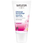 Wildrose Glättende Nachtpflege