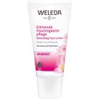 Wildrosen Glättende Feuchtigkeitspflege
