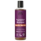  Nordic Berries Shampoo strapaziertes Haar 250 ml 