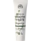 Eucalyptus Toothpaste