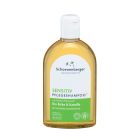 Pflegeshampoo Plus Bio Birke