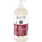 Family Glanz Shampoo Bio-Birkenblatt & pflanzliches Protein 950 ml