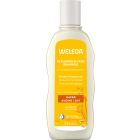 Hafer Aufbau-Shampoo