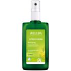 Citrus Fresh Deo Spray 100 ml