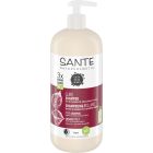Family Glanz Shampoo Bio-Birkenblatt & pflanzliches Protein 500 ml