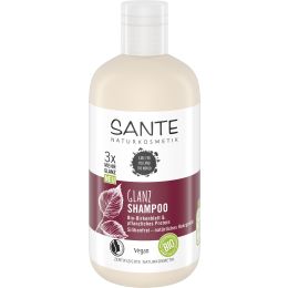 Family Glanz Shampoo Bio-Birkenblatt & pflanzliches Protein 250 ml