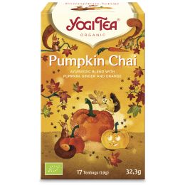 Pumpkin Chai Ayurvedische Gewürzteemischung bio