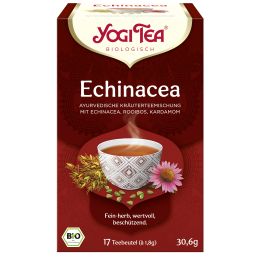 Echinacea Ayurvedische Kräuterteemischung bio