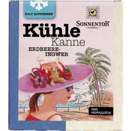 Kühle Kanne Erdbeer-Ingwer Tee, Pyramidenbeutel bio