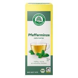 Pfefferminze Kräutertee bio